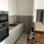 Rent 3 bedroom apartment of 51 m² in Lyon
