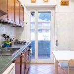Rent a room of 200 m² in Roma