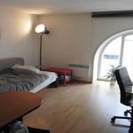  appartement avec 1 chambre(s) en location à Valenciennes