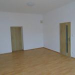Rent 3 bedroom apartment of 81 m² in Pardubice