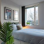 Rent a room of 35 m² in Breda