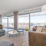 Rent 4 bedroom apartment of 288 m² in Scheveningen