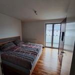 Miete 2 Schlafzimmer wohnung von 76 m² in Aspach