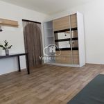 Pronajměte si 1 ložnic/e byt o rozloze 36 m² v Dolní Olešnice