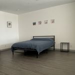 1 bedroom apartment of 1065 sq. ft in Edmonton