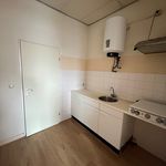 Rent 1 bedroom apartment in Rotterdam