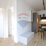Rent 2 bedroom apartment of 45 m² in Padova