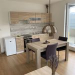 Rent 1 bedroom apartment of 34 m² in Kladno