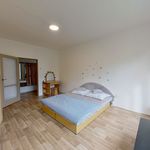Rent 3 bedroom apartment of 71 m² in Zlín