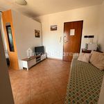 Rent 1 bedroom apartment of 25 m² in Olbia