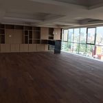 Rent 2 bedroom apartment of 342 m² in Ciudad de México