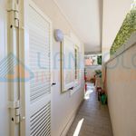 Rent 2 bedroom apartment of 50 m² in Ladispoli