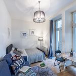 Rent 1 bedroom apartment of 24 m² in Praha 1