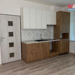 Rent 2 bedroom apartment of 50 m² in Dubí
