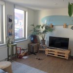 Rent 3 bedroom apartment of 70 m² in Haarlem