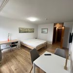 Rent 1 bedroom apartment of 29 m² in Nürnberg