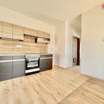 Rent 1 bedroom house of 40 m² in Mohelnice