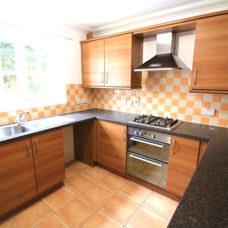 End terrace house to rent in Robert Norgate Close, Norwich NR12 Beeston St Lawrence