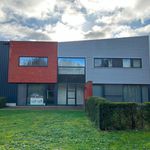 Rent 3 bedroom house of 220 m² in Berlaar