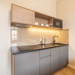 Rent 1 bedroom apartment of 23 m² in Praha