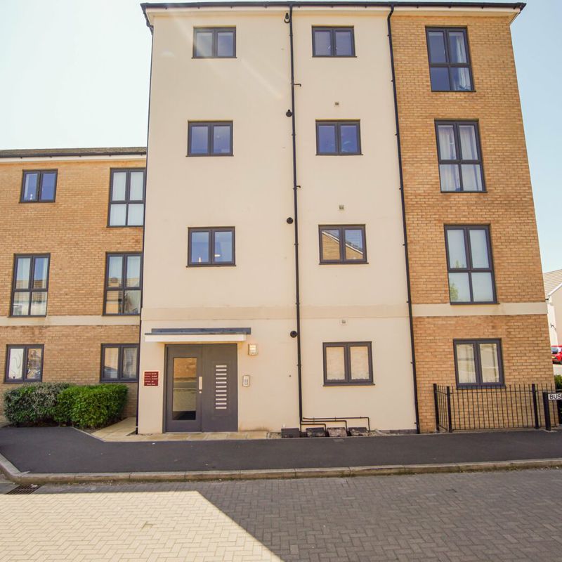 2 Bed  Flat Apartment to rent Patchway