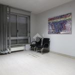 Rent 6 bedroom apartment of 220 m² in Villasanta