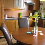 Rent 1 bedroom apartment in wroclaw