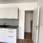 Newly built modern studio apartment in Walldorf( near to SAP and city center)