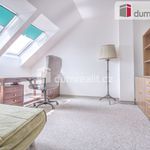 Rent 1 bedroom house of 85 m² in Praha