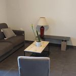 Rent 1 bedroom apartment of 43 m² in Saint-Leu