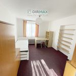 Rent 16 bedroom apartment of 16 m² in Plzeň