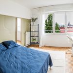 Rent a room of 90 m² in Strasbourg
