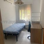 Rent 4 bedroom apartment of 100 m² in Albacete
