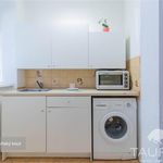 Rent 1 bedroom apartment of 27 m² in Plzeň
