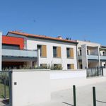 Rent 1 bedroom apartment of 45 m² in Colomiers