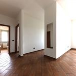 Rent 1 bedroom apartment of 60 m² in Bresso