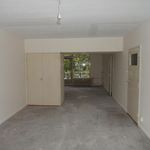 Rent 4 bedroom apartment of 70 m² in Den Haag