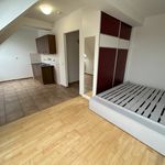 Rent 1 bedroom house in České Budějovice