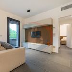 Rent 3 bedroom apartment of 105 m² in Padua