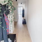 Rent 2 bedroom apartment in Lommel