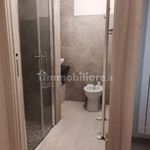 Rent 2 bedroom house of 40 m² in Chioggia