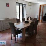 Affitto 5 camera appartamento di 120 m² in Brindisi