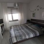 Huur 1 slaapkamer appartement van 46 m² in Tilburg