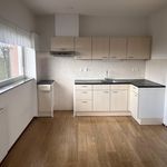 Rent 4 bedroom apartment of 82 m² in Middelburg