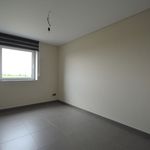 Rent 3 bedroom house in Deinze