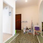 Rent 1 bedroom apartment of 65 m² in Amaliada Municipal Unit