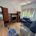 Rent 3 bedroom apartment of 80 m² in Sevilla