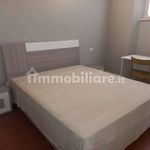 Affitto 1 camera appartamento di 80 m² in Piacenza