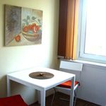 Rent 2 bedroom apartment of 30 m² in Mödling