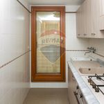 Rent 6 bedroom apartment of 150 m² in Catania